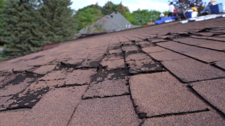 Hot Roofs in Fife Heights, WA